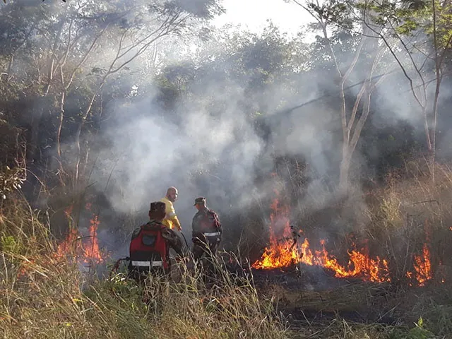 Fires burning in brush