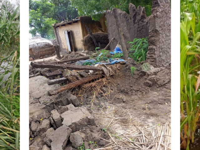 Floods in Niger